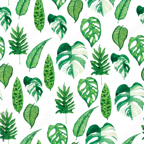 Seamless pattern with white and green monstera and tropical leaves on white background. Hand drawn watercolor illustration.
