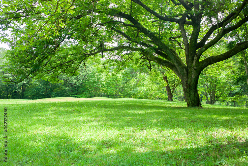 garden tree garden tree