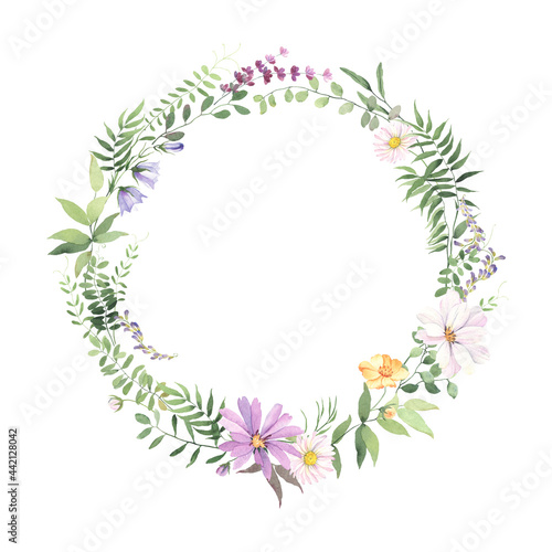 Wreath of wildflowers and wild green plants, watercolor circle floral frame with delicate flowers isolated on white background for invitation, greeting card, botanical ornament for your text.