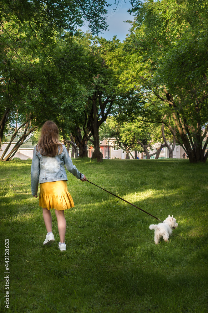 young woman is walking in the park with her dog. Back view young woman is walking in the park with her dog. Back view