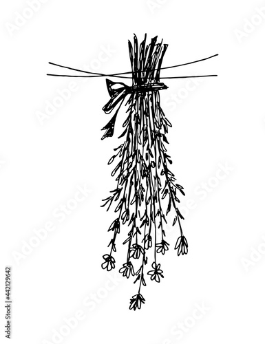 Simple hand-drawn vector drawing in engraving style. A bouquet of wild herbs for medicinal tea. The bundle is dried on a thread. Harvesting plants for a natural home pharmacy. Organic cosmetics.