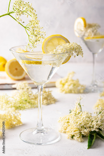 Bilde på lerret Gin and tonic with elderflower refreshing summer cocktail garnished with lemons