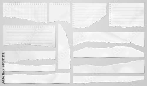 Ripped pages. Shapes torn paper, elegant headline strip. Isolated gray page sheets. Line notebook, rip scrap, cardboard edge piece recent vector set