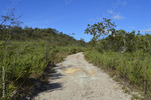 Trilha no cerrado.