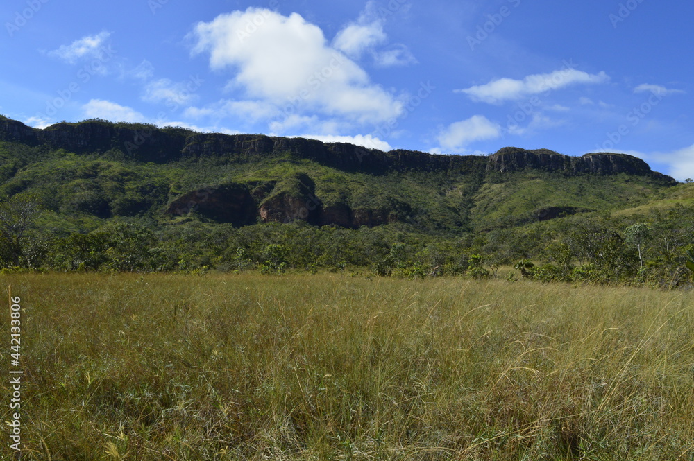 Verde do campo com montanhas e céu azul ao fundo Verde do campo com montanhas e céu azul ao fundo