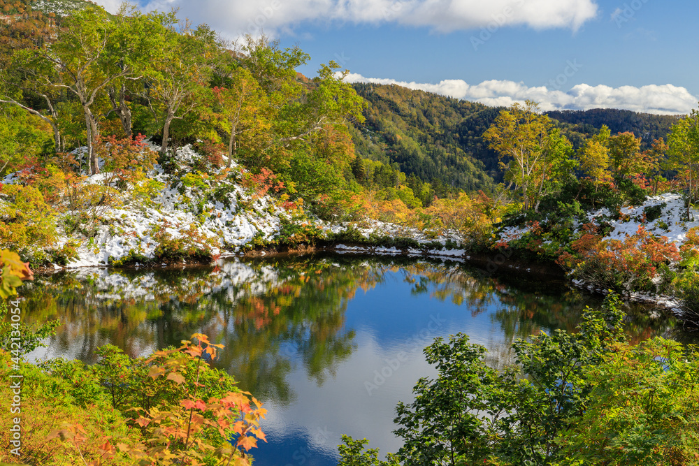 大雪高原温泉沼めぐりの紅葉と新雪（エゾ沼）