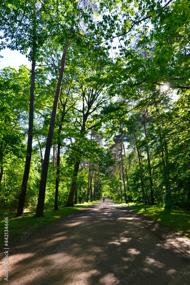 Fototapeta premium Schlosspark Heusenstamm / Hessen