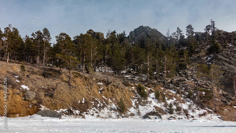 On the shore of a frozen lake, on a sandy hill, a coniferous forest grows. Snow on the ground and on the ice. Winter day. Rocks against the blue sky. Baikal
