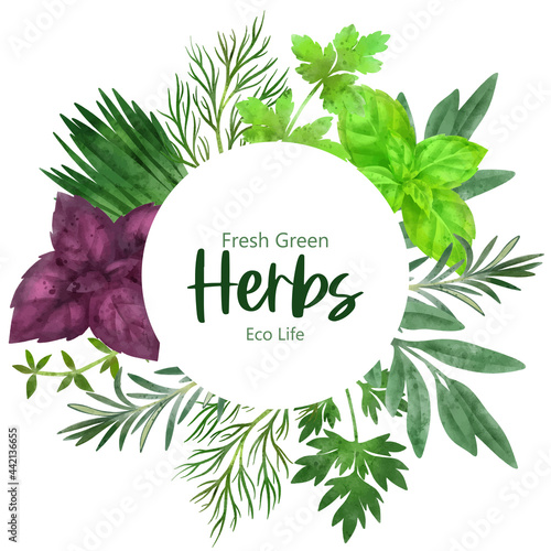 Round frame with hand drawn herbs