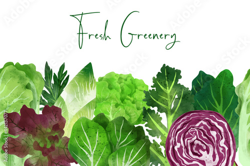Seamless border composed of fresh vegetables and herbs
