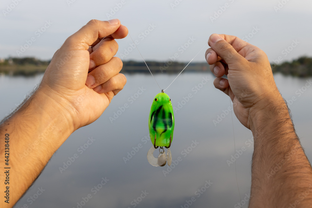 Hands of a white man passing a nylon fishing line onto a frog-shaped bait in front of a lake. Mention to coastal fishing, sport and leisure with the family on a sunny weekend.