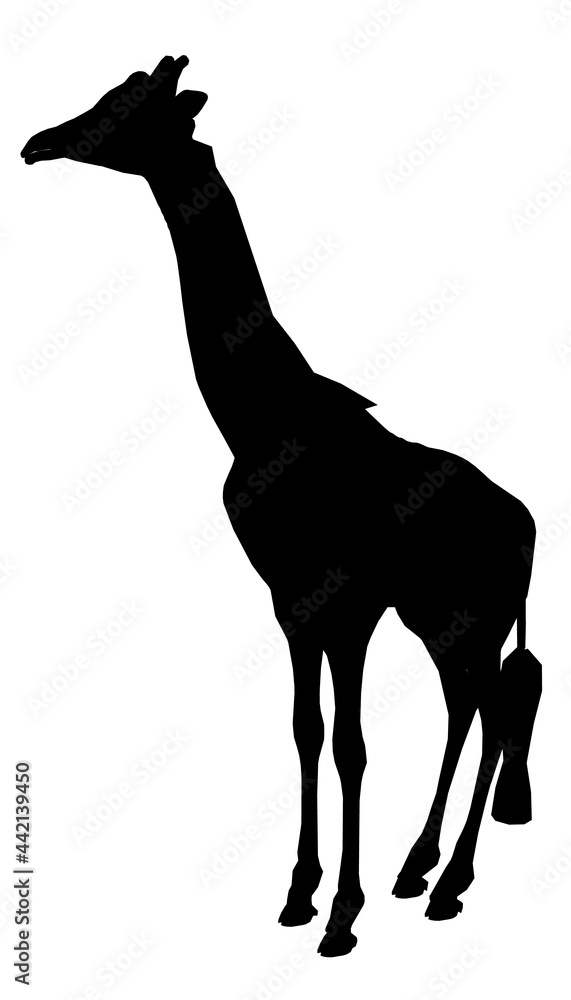 Fototapeta premium Silhouette of a giraffe isolated on a white background. Vector illustration