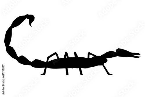 Scorpion silhouette isolated on white background. Side view. Vector illustration