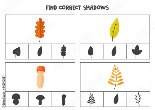 Find correct shadow of autumn leaves and mushrooms. Printable clip card games for children.