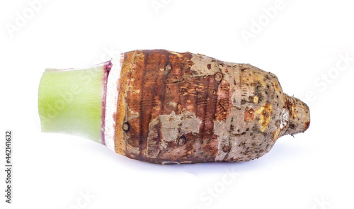 taro isolated on white background