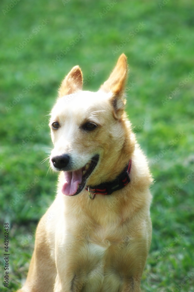 Naklejka premium Relaxing