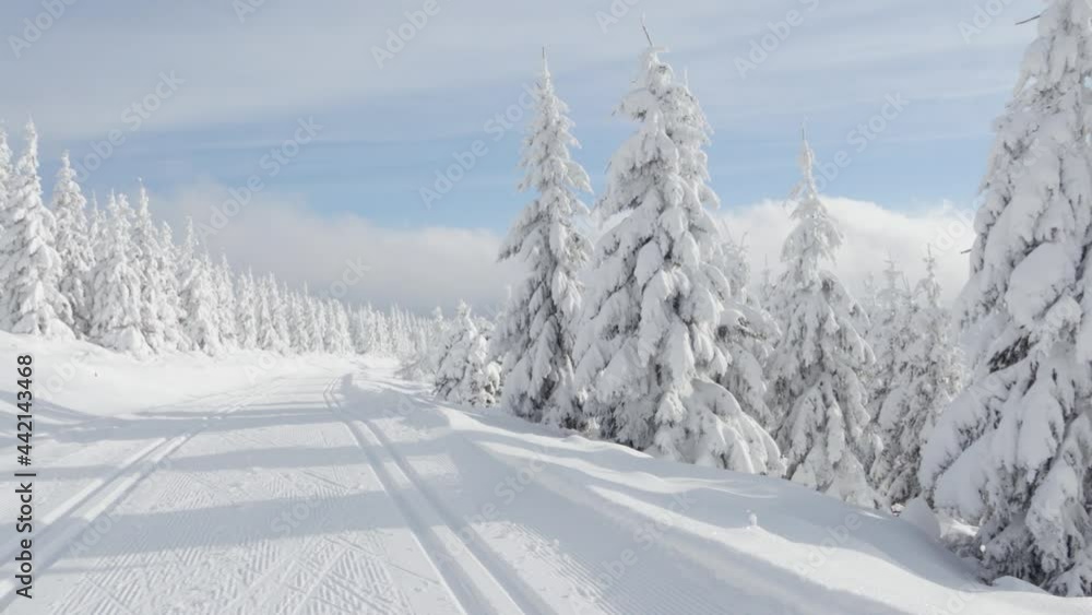 A cross-country skiing trail in a snow-covered winter landscape with trees A cross-country skiing trail in a snow-covered winter landscape with trees