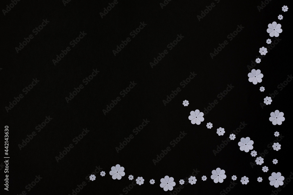 White paper flowers on black background. Flat lay style with copy space. Paper art White paper flowers on black background. Flat lay style with copy space. Paper art