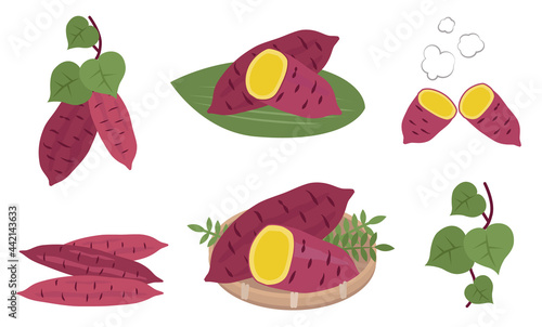 さつまいものイラストセット　秋の味覚　野菜