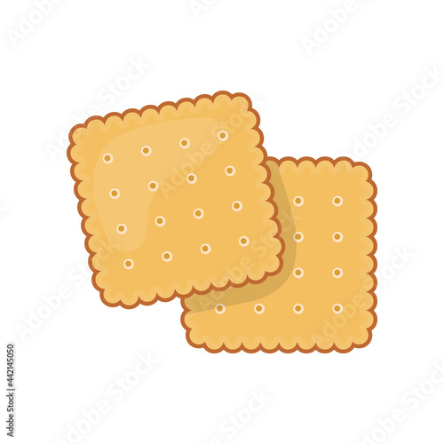 Two delicious biscuit. Yummy crackers, isolated on white background.