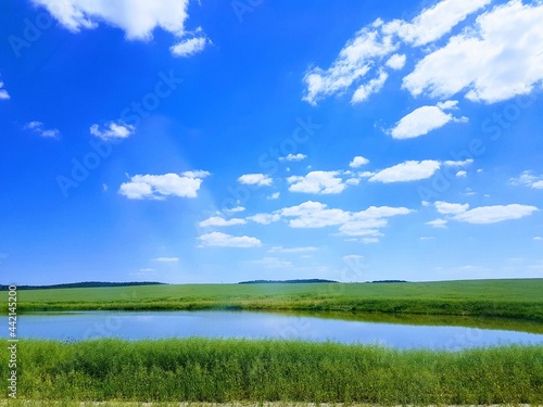 Sunset blue sky amid green fields