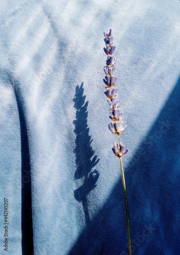 lavender flower on fabric