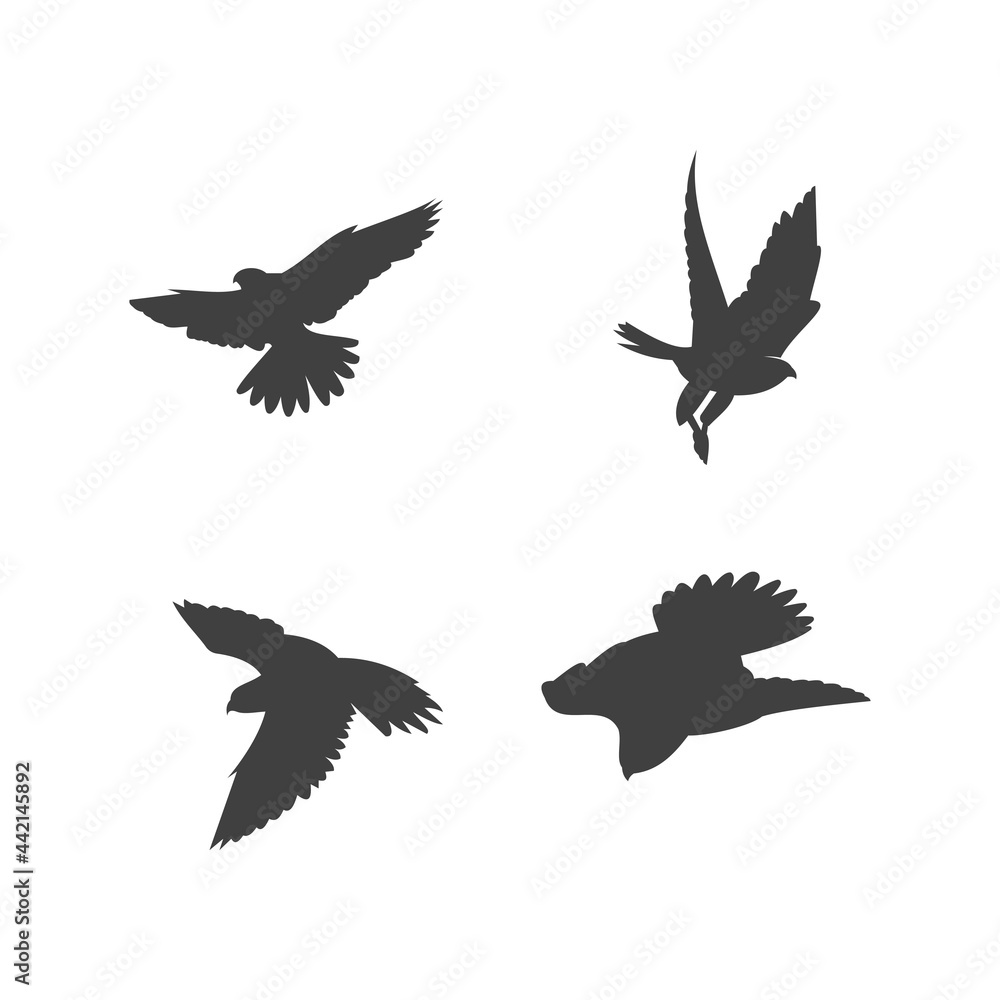 Falcon logo design template, icon illustration Falcon logo design template, icon illustration