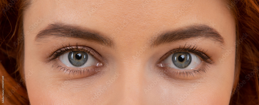 Naklejka premium Beautiful female eyes with arched eyebrows and natural eye makeup, eyesight