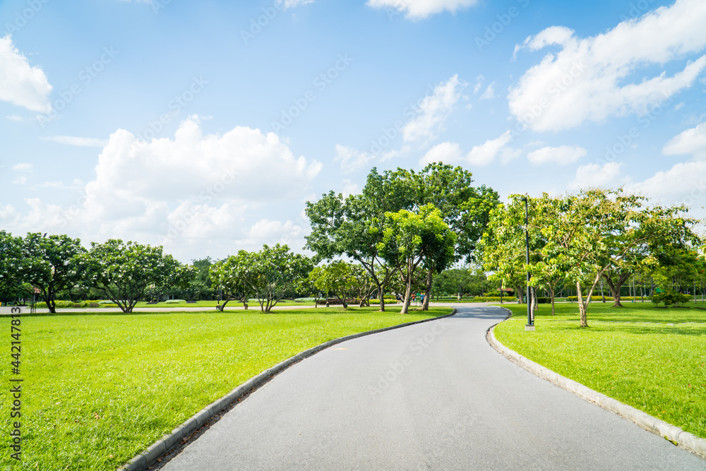 Beautiful green city park with blue sky. Pathway and beautiful trees track for running or walking and cycling relax in the park on green grass field on the side. Sunlight and flare background concept.