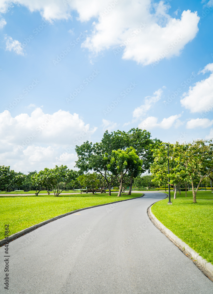 Beautiful green city park with blue sky. Pathway and beautiful trees track for running or walking and cycling relax in the park on green grass field on the side. Sunlight and flare background concept.