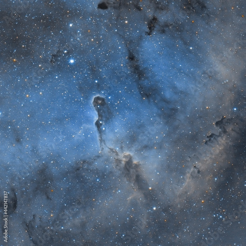 Elephants Trunk Nebula photo