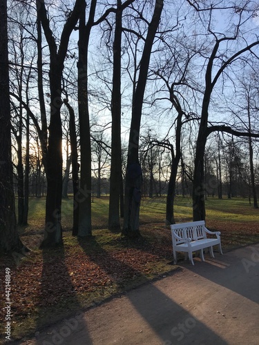 bench in park