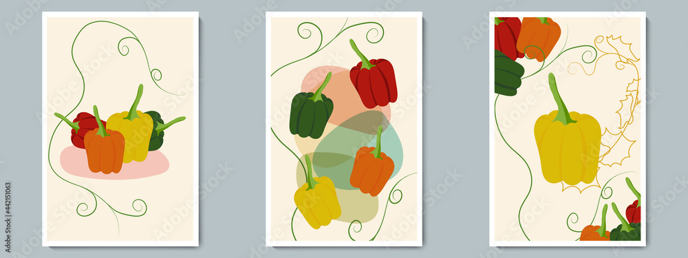 Paprika Poster Set. Minimalist Red, Green, Orange, Yellow Vegetables with Simple Shape, Contour and Green Leaves for wallpaper, wall decoration, postcard, brochure, design menu, cafe, market