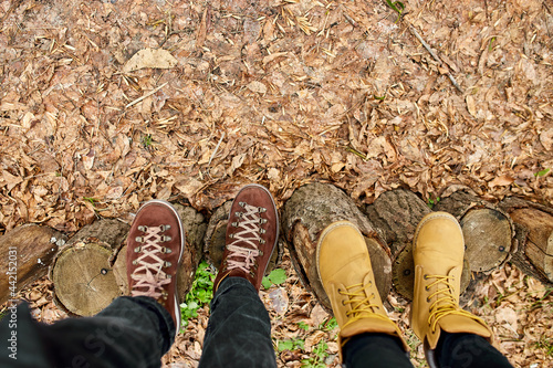 Modern young couple hiking boots on wooden stump on fallen autumn leaves in the forest