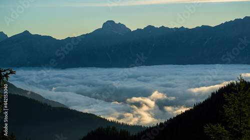 view of a foggy valley and the alps in the background in the morning from the mountains