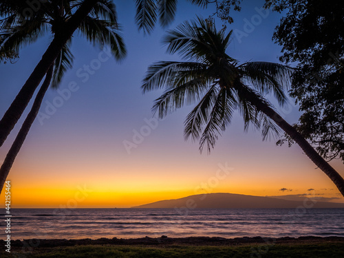 Amazing sunset and palms on the beach. Incredible sky in pink and purple colors. Beautiful nature of Hawaii. USA