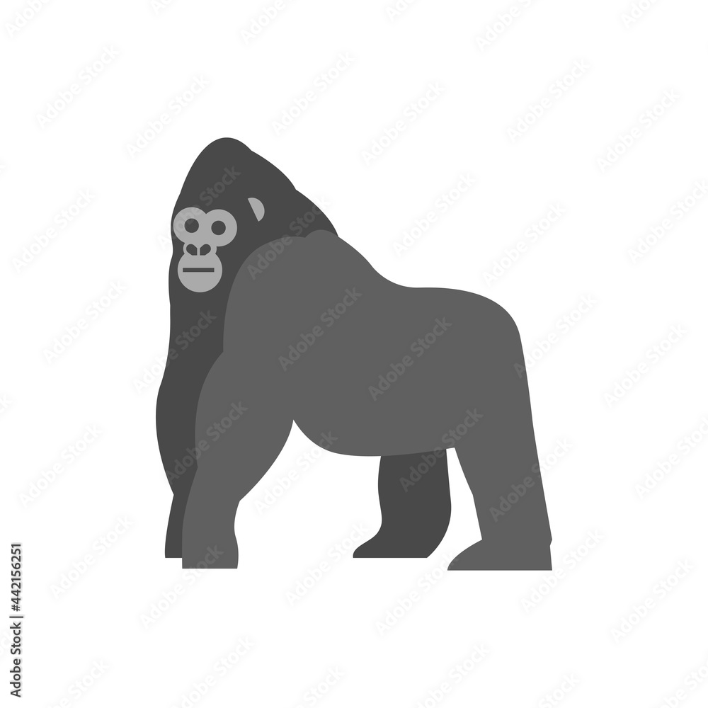 Flat gorilla on white background Flat gorilla on white background