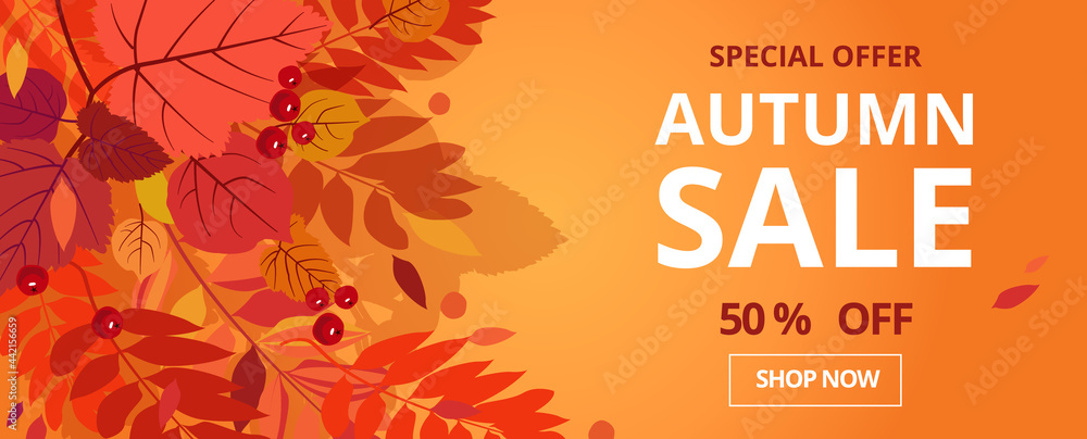 Autumn sale. Banner for 50% Promotion Autumn Discount. Vector falling leaves. For discount  booklet or web banner