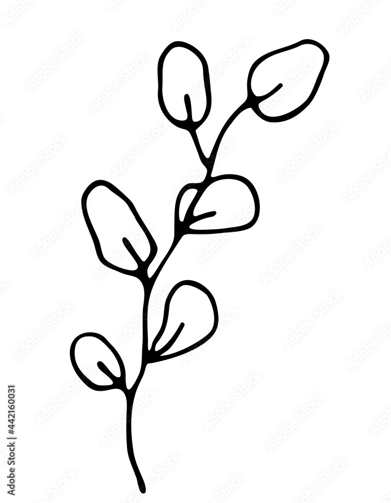 An abstract twig with leaves. A hand drawn vector illustration in doodling style. A beautiful sprig of eucalyptus. Black outlines isolated on a white background. An abstract twig with leaves. A hand drawn vector illustration in doodling style. A beautiful sprig of eucalyptus. Black outlines isolated on a white background.