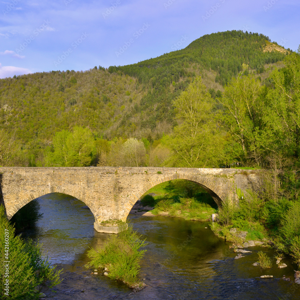Carré le pont du Tarn à Florac-Trois-Rivières (48400), départementde la Lozère en région Occitanie, France