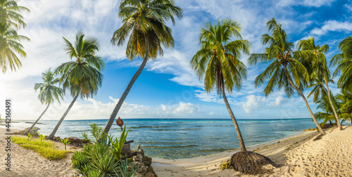 Barbados beach panoramic photo