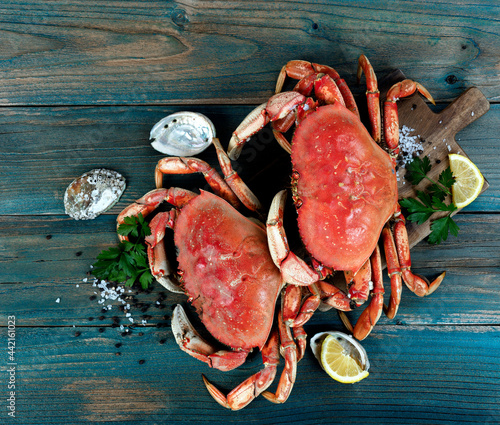 Freshly cooked crab with ingredients in flat lay format for seafood background