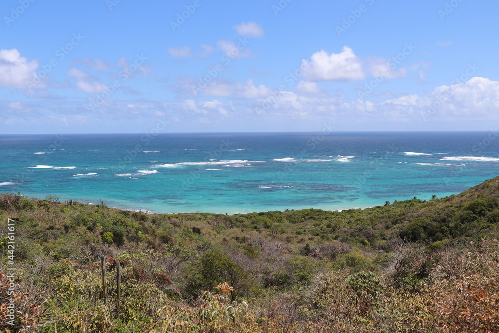 Paysages Cap Macré Martinique Antilles Françaises Caraïbes