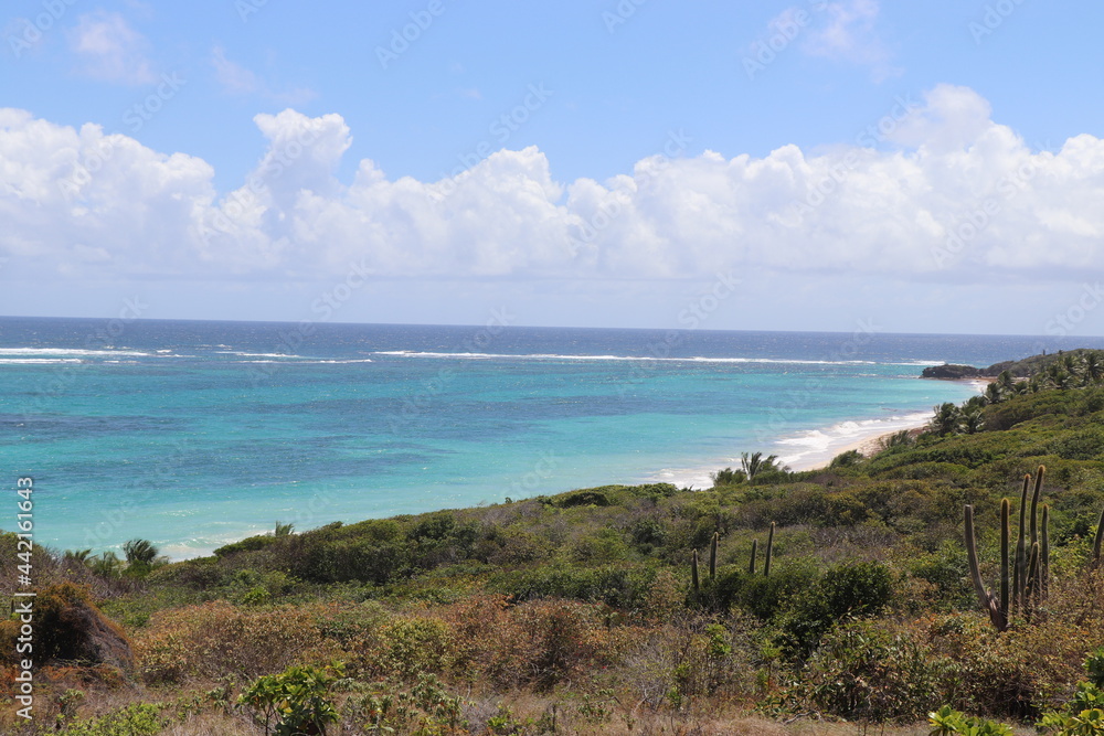 Paysages Cap Macré Martinique Antilles Françaises Caraïbes