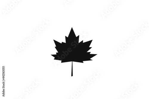 silhouette maple leaf on white background.maple leaf sign,flat style.concept for sign, symbol, icon ect
