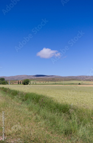 Views of nature. Clear blue sky with a single cloud, with farm fields