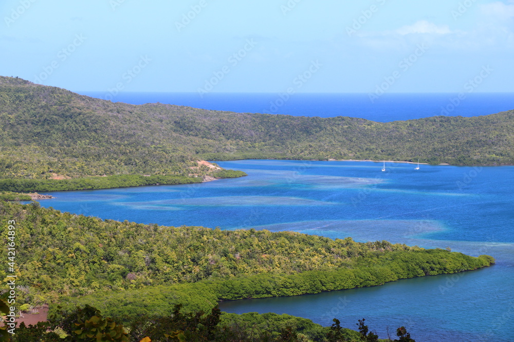 Paysages Presqu'île de la Caravelle Martinique Antilles Françaises