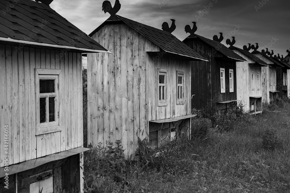 Colored bee houses on green meadow in countryside. Honey bee hives. Beautiful small decorative houses. Colored bee houses on green meadow in countryside. Honey bee hives. Beautiful small decorative houses.