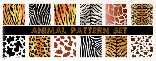 Animal texture pattern for clothing print, wrapping, wallpaper