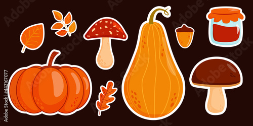 Set of autumn stickers. Pumpkin, acorn and bright leaves. Autumn concept. Vector illustration in flat cartoon style on a dark background.